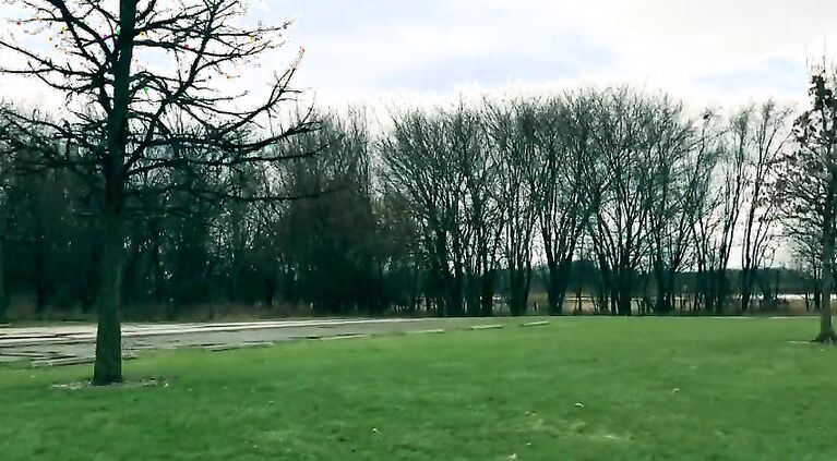 Cumming at the park