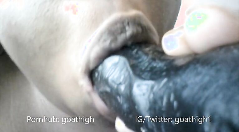 Goathigh: POV Blowjob from Ebony BBW
