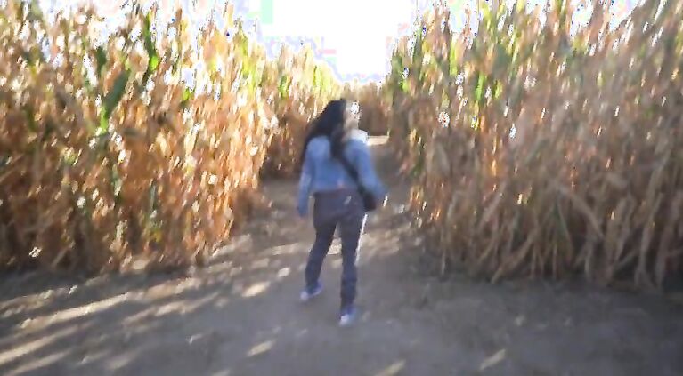 Sexy Amateur Babe Flashes and gives blowjob in Corn Maze such a risky public adventure